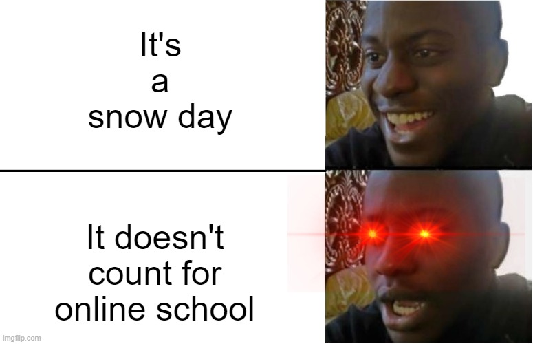 That is just sad | It's a snow day; It doesn't count for online school | image tagged in disappointed black guy,snow day,online school | made w/ Imgflip meme maker