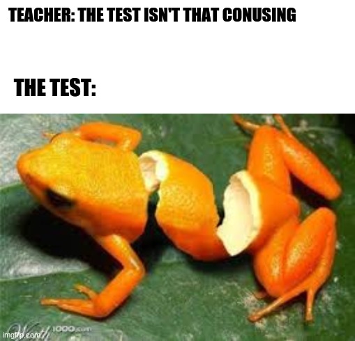 Clementoad | TEACHER: THE TEST ISN'T THAT CONUSING; THE TEST: | image tagged in confused | made w/ Imgflip meme maker