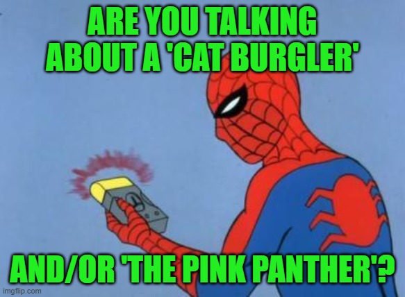 spiderman detector | ARE YOU TALKING ABOUT A 'CAT BURGLER' AND/OR 'THE PINK PANTHER'? | image tagged in spiderman detector | made w/ Imgflip meme maker