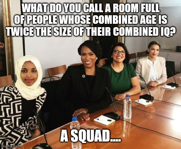 Political humor is so easy with this low hanging fruit | WHAT DO YOU CALL A ROOM FULL OF PEOPLE WHOSE COMBINED AGE IS TWICE THE SIZE OF THEIR COMBINED IQ? A SQUAD.... | image tagged in the squad,idiots | made w/ Imgflip meme maker
