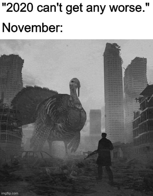 November | "2020 can't get any worse."; November: | image tagged in 2020 | made w/ Imgflip meme maker