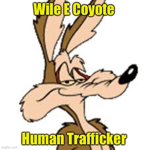 What Biden Supporters Heard | Wile E Coyote; Human Trafficker | image tagged in wile e coyote,coyote,illegal immigration | made w/ Imgflip meme maker