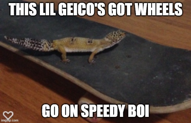 Gecko got wheels | THIS LIL GEICO'S GOT WHEELS; GO ON SPEEDY BOI | image tagged in gecko got wheels | made w/ Imgflip meme maker