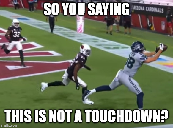 what???? | SO YOU SAYING; THIS IS NOT A TOUCHDOWN? | image tagged in what,nfl,football,seattle seahawks,arizona,seattle | made w/ Imgflip meme maker