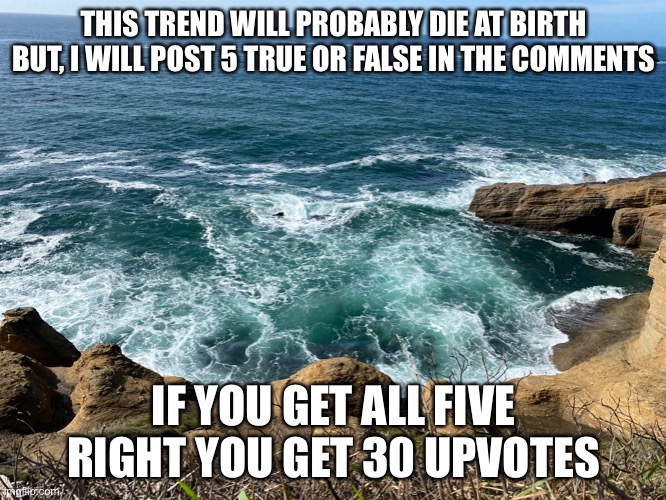 Me trying to create a trend cause I’m bored | THIS TREND WILL PROBABLY DIE AT BIRTH BUT, I WILL POST 5 TRUE OR FALSE IN THE COMMENTS; IF YOU GET ALL FIVE RIGHT YOU GET 30 UPVOTES | made w/ Imgflip meme maker