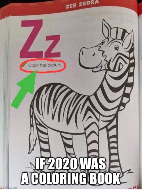 2020 Coloring Book | IF 2020 WAS A COLORING BOOK | image tagged in 2020,zebra,colors,books,animals | made w/ Imgflip meme maker