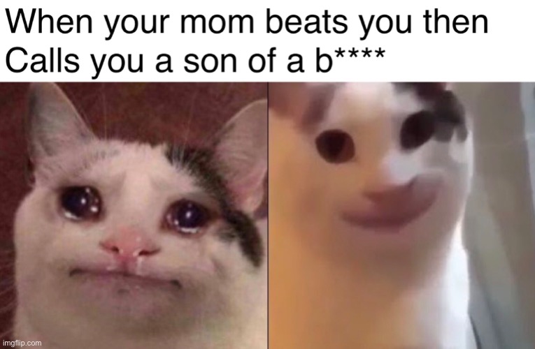 Facts | image tagged in meme,funny,funny meme,crying cat,smiling cat | made w/ Imgflip meme maker