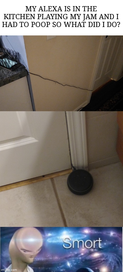 legit needed my pooping music | MY ALEXA IS IN THE KITCHEN PLAYING MY JAM AND I HAD TO POOP SO WHAT DID I DO? | image tagged in meme man smort,memes,funny,music | made w/ Imgflip meme maker