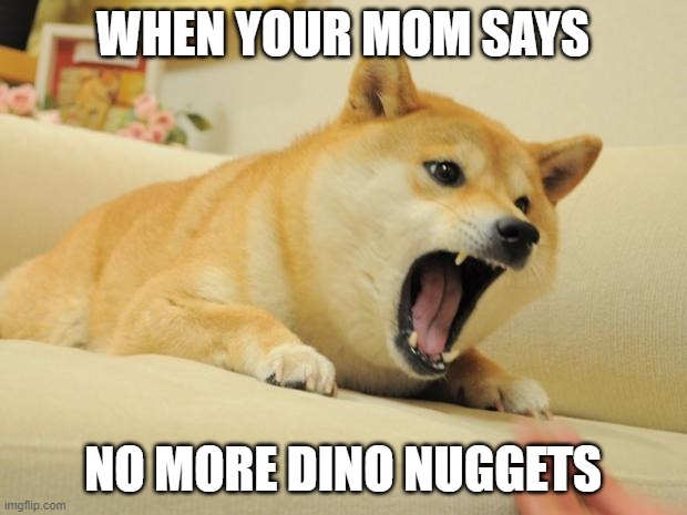 ANGRY DOGE | WHEN YOUR MOM SAYS; NO MORE DINO NUGGETS | image tagged in angry doge | made w/ Imgflip meme maker