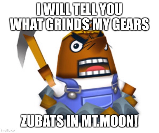 Resetti | I WILL TELL YOU WHAT GRINDS MY GEARS; ZUBATS IN MT.MOON! | image tagged in resetti | made w/ Imgflip meme maker