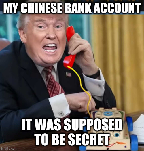 I'm the president | MY CHINESE BANK ACCOUNT IT WAS SUPPOSED TO BE SECRET | image tagged in i'm the president | made w/ Imgflip meme maker