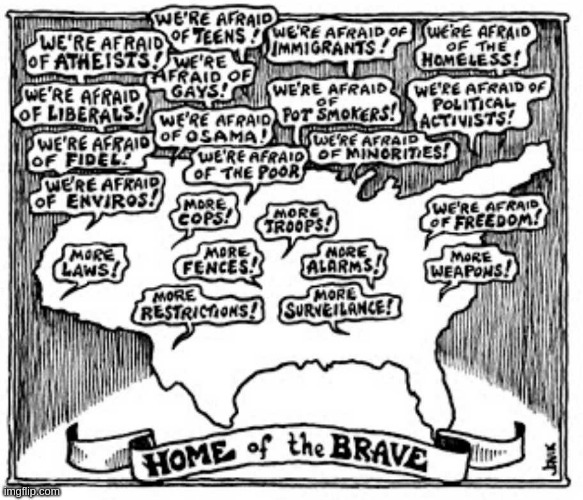 home of the brave? | image tagged in brave,usa | made w/ Imgflip meme maker