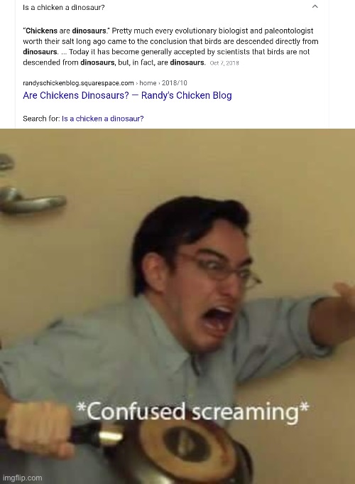 Lololol | image tagged in filthy frank confused scream | made w/ Imgflip meme maker
