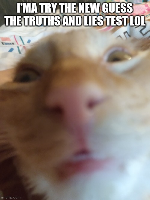 I'MA TRY THE NEW GUESS THE TRUTHS AND LIES TEST LOL | made w/ Imgflip meme maker