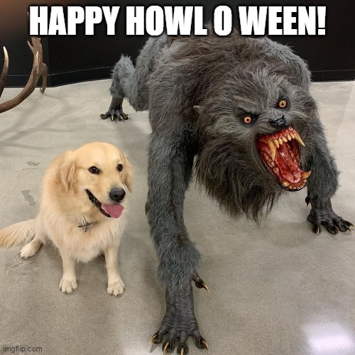 Now take this to sleep wit ya! | HAPPY HOWL O WEEN! | image tagged in good dog scary dog | made w/ Imgflip meme maker