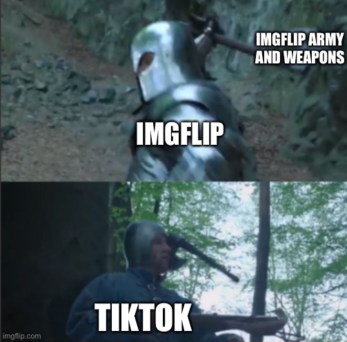 Axe to the Head | IMGFLIP ARMY AND WEAPONS; IMGFLIP; TIKTOK | image tagged in axe to the head | made w/ Imgflip meme maker