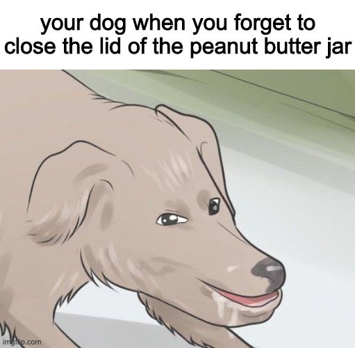 your dog when you forget to close the lid of the peanut butter jar | made w/ Imgflip meme maker
