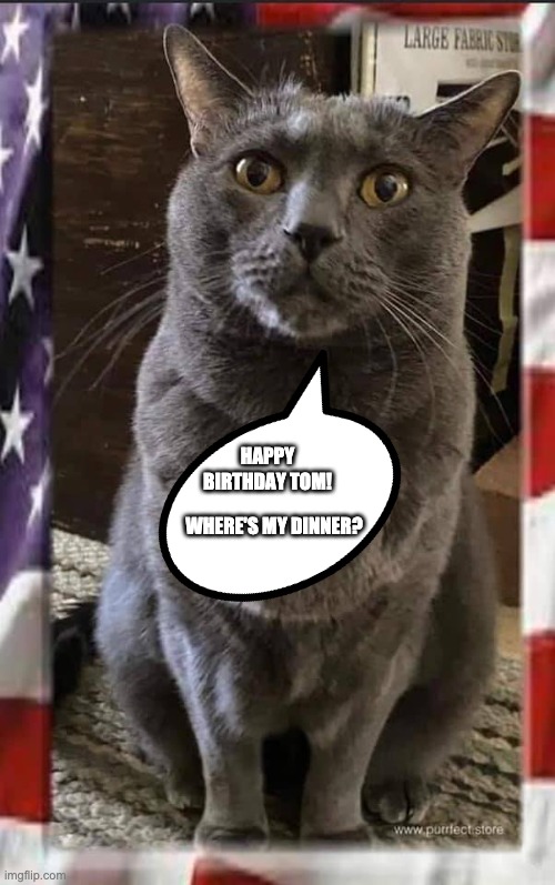 Happy Birthday Tom | HAPPY BIRTHDAY TOM! WHERE'S MY DINNER? | image tagged in happy birthday,cat | made w/ Imgflip meme maker