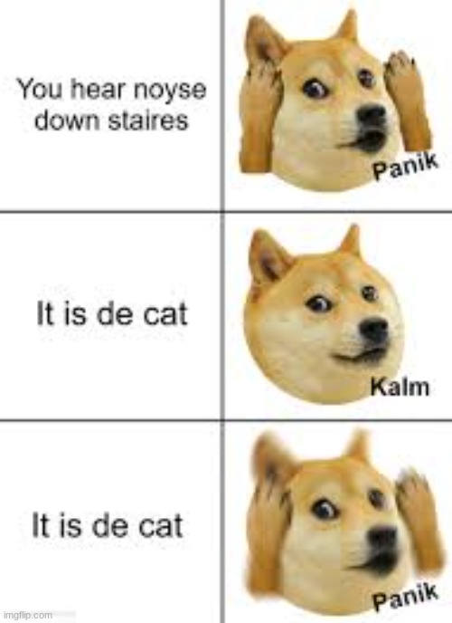 panik kalm panik korgi edition | image tagged in cute puppies | made w/ Imgflip meme maker