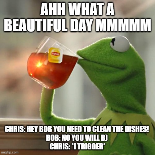 But That's None Of My Business | AHH WHAT A BEAUTIFUL DAY MMMMM; CHRIS: HEY BOB YOU NEED TO CLEAN THE DISHES! 
BOB: NO YOU WILL B) 
CHRIS: *I TRIGGER* | image tagged in memes,but that's none of my business,kermit the frog | made w/ Imgflip meme maker