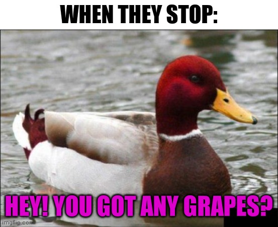Malicious Advice Mallard Meme | WHEN THEY STOP: HEY! YOU GOT ANY GRAPES? | image tagged in memes,malicious advice mallard | made w/ Imgflip meme maker