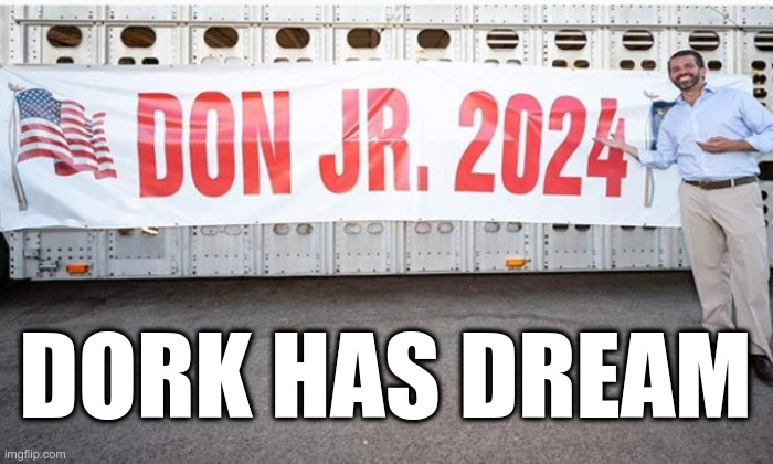 Dork Has Dream | DORK HAS DREAM | image tagged in don jr,dork | made w/ Imgflip meme maker