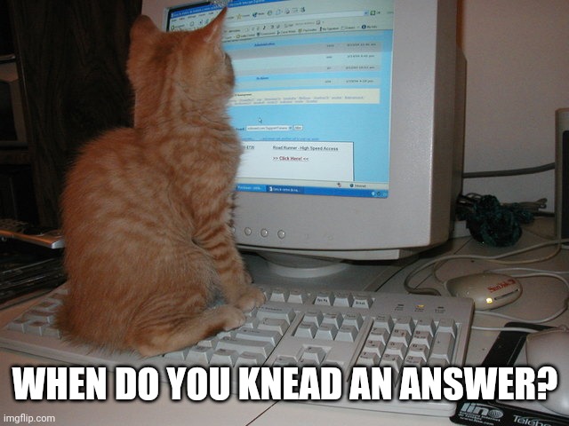 cat sitting on keyboard | WHEN DO YOU KNEAD AN ANSWER? | image tagged in cat sitting on keyboard | made w/ Imgflip meme maker