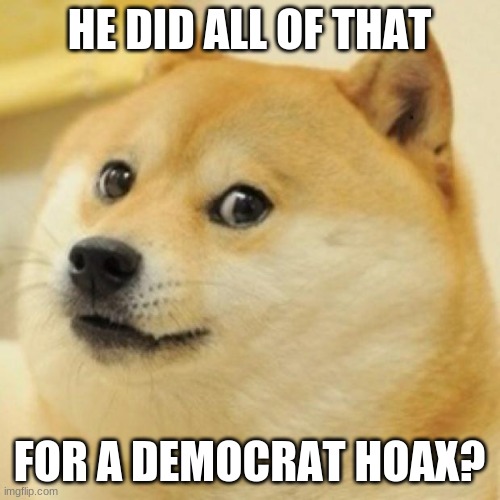 wow doge | HE DID ALL OF THAT FOR A DEMOCRAT HOAX? | image tagged in wow doge | made w/ Imgflip meme maker