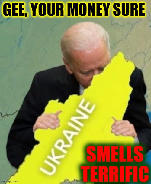 Joe Biden loses: starts making shampoo commercials | GEE, YOUR MONEY SURE SMELLS TERRIFIC | image tagged in vince vance,joe biden,creepy joe biden,ukraine,hunter biden,corruption | made w/ Imgflip meme maker