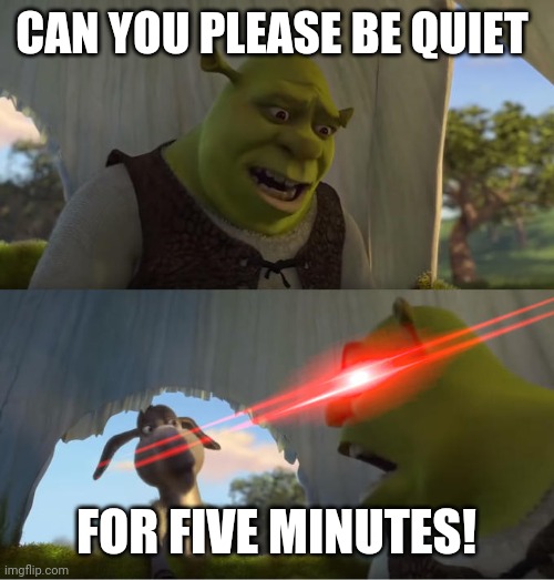 Shrek For Five Minutes | CAN YOU PLEASE BE QUIET FOR FIVE MINUTES! | image tagged in shrek for five minutes | made w/ Imgflip meme maker