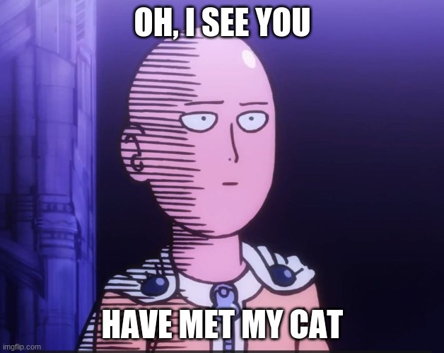 One Punch Man | OH, I SEE YOU HAVE MET MY CAT | image tagged in one punch man | made w/ Imgflip meme maker
