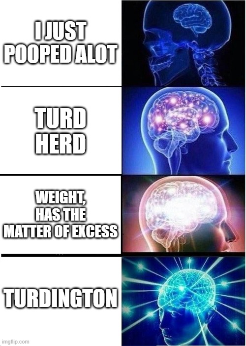 Expanding Brain Meme | I JUST POOPED ALOT; TURD HERD; WEIGHT, HAS THE MATTER OF EXCESS; TURDINGTON | image tagged in memes,expanding brain | made w/ Imgflip meme maker