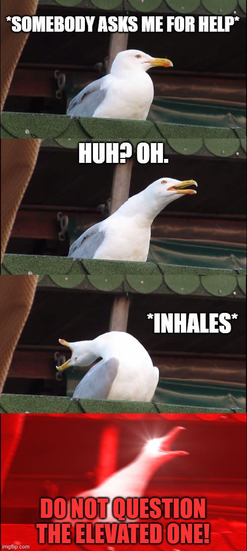 Inhaling Seagull | *SOMEBODY ASKS ME FOR HELP*; HUH? OH. *INHALES*; DO NOT QUESTION THE ELEVATED ONE! | image tagged in memes,inhaling seagull | made w/ Imgflip meme maker