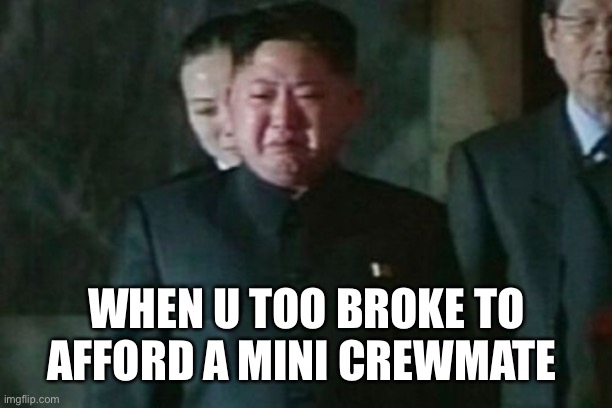Kim Jong Un Sad Meme | WHEN U TOO BROKE TO AFFORD A MINI CREWMATE | image tagged in memes,kim jong un sad | made w/ Imgflip meme maker