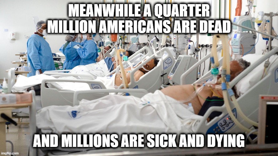 MEANWHILE A QUARTER MILLION AMERICANS ARE DEAD AND MILLIONS ARE SICK AND DYING | made w/ Imgflip meme maker