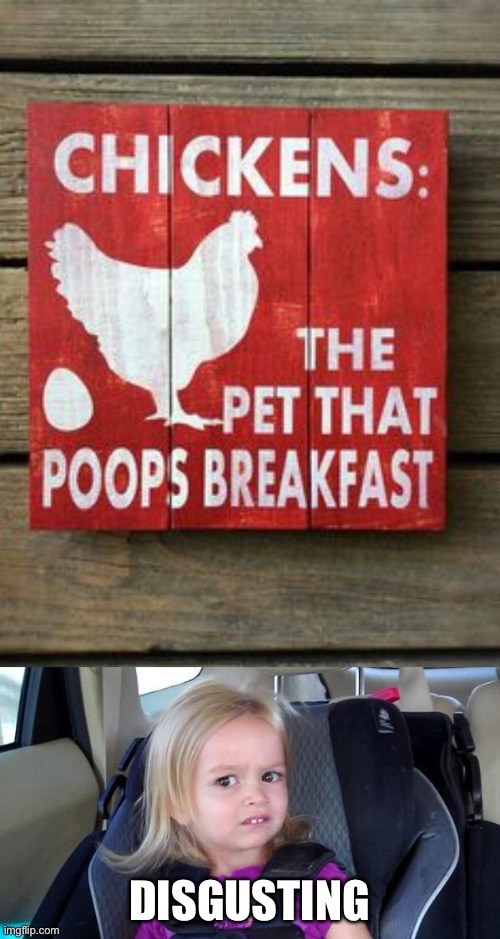 Now that I read this I have a terrible fear of chickens now! | DISGUSTING | image tagged in wtf girl,memes,funny,design fails,chickens,disgusting | made w/ Imgflip meme maker