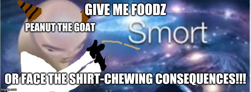 Meme man smort | GIVE ME FOODZ OR FACE THE SHIRT-CHEWING CONSEQUENCES!!! PEANUT THE GOAT | image tagged in meme man smort | made w/ Imgflip meme maker
