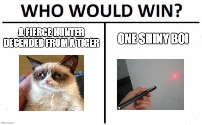 CATS ARE AWESOME | A FIERCE HUNTER DECENDED FROM A TIGER; ONE SHINY BOI | image tagged in memes,who would win,cats,grumpy cat | made w/ Imgflip meme maker