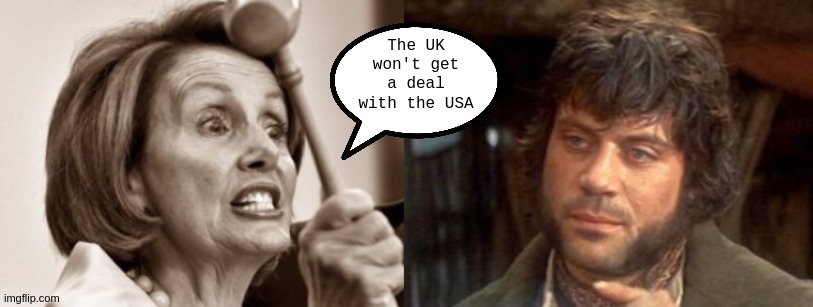 The UK won't get a deal with the USA | image tagged in nancy pelosi wtf,never mind,bye,copy,parliament | made w/ Imgflip meme maker
