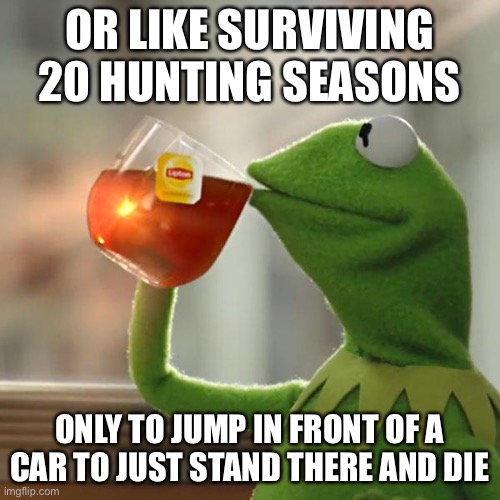 But That's None Of My Business Meme | OR LIKE SURVIVING 20 HUNTING SEASONS ONLY TO JUMP IN FRONT OF A CAR TO JUST STAND THERE AND DIE | image tagged in memes,but that's none of my business,kermit the frog | made w/ Imgflip meme maker