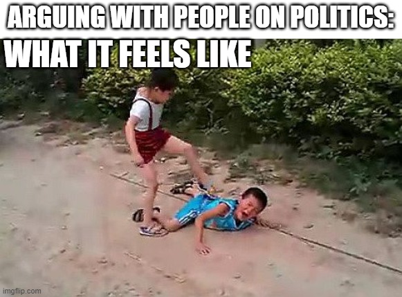 they need chill | ARGUING WITH PEOPLE ON POLITICS:; WHAT IT FEELS LIKE | image tagged in fight | made w/ Imgflip meme maker