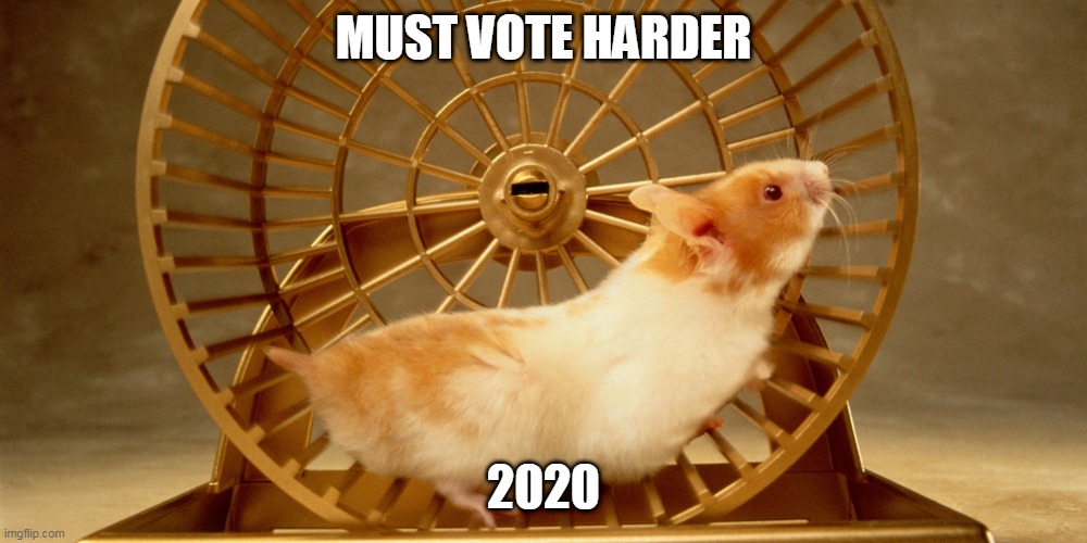 Just Say No | MUST VOTE HARDER; 2020 | image tagged in hamster | made w/ Imgflip meme maker