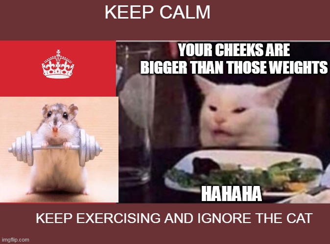 KEEP CALM; YOUR CHEEKS ARE BIGGER THAN THOSE WEIGHTS; HAHAHA; KEEP EXERCISING AND IGNORE THE CAT | image tagged in memes,keep calm and carry on red,white dinner table cat | made w/ Imgflip meme maker