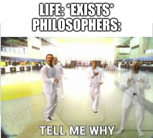 LIFE: *EXISTS*
PHILOSOPHERS: | image tagged in white background | made w/ Imgflip meme maker