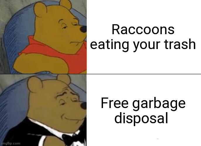 Tuxedo Winnie The Pooh | Raccoons eating your trash; Free garbage disposal | image tagged in memes,tuxedo winnie the pooh | made w/ Imgflip meme maker