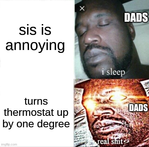 no title sorry | DADS; sis is annoying; turns thermostat up by one degree; DADS | image tagged in memes,sleeping shaq,funny | made w/ Imgflip meme maker