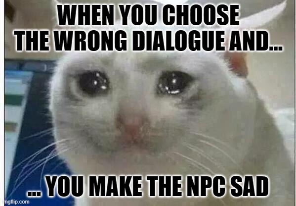 remember to save so you can go back and to choose the right dialogue | WHEN YOU CHOOSE THE WRONG DIALOGUE AND... ... YOU MAKE THE NPC SAD | image tagged in crying cat | made w/ Imgflip meme maker