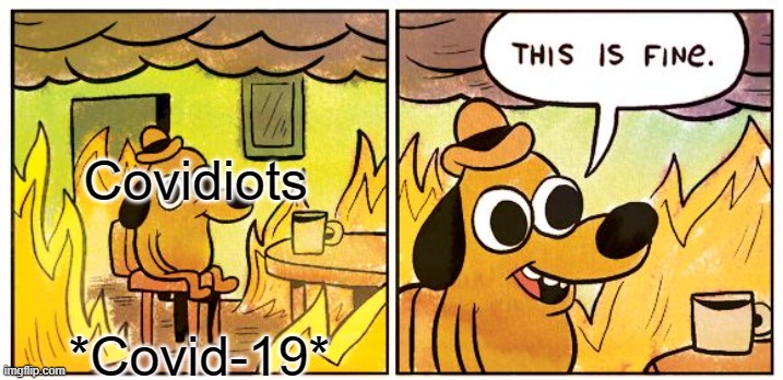 Covidiots be like | Covidiots; *Covid-19* | image tagged in memes,this is fine | made w/ Imgflip meme maker