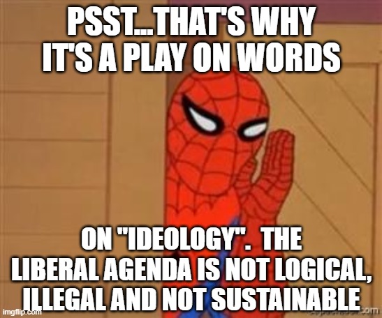 psst spiderman | PSST...THAT'S WHY IT'S A PLAY ON WORDS ON "IDEOLOGY".  THE LIBERAL AGENDA IS NOT LOGICAL, ILLEGAL AND NOT SUSTAINABLE | image tagged in psst spiderman | made w/ Imgflip meme maker