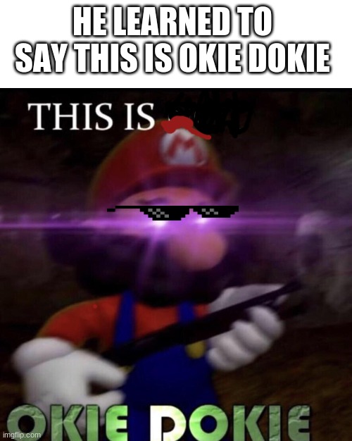 this is okie okie | HE LEARNED TO SAY THIS IS OKIE DOKIE | image tagged in this is okie okie | made w/ Imgflip meme maker
